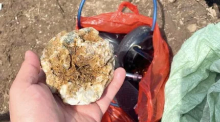 Золото незаконно добывали в области Абай