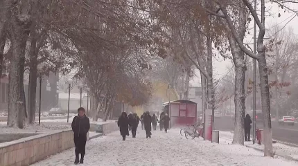 Шымкенттік әйел балаларының денесіне үтік басып, пешке күйдірген