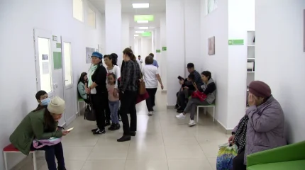 МӘМС ақшасын жымқырып, 124 үй сатып алған