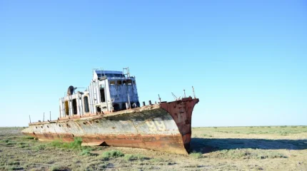 Арал мәселесі Халықаралық экология саммитінде талқыланады