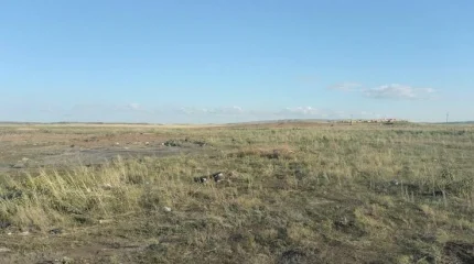 Абай облысында рұқсатсыз қоқыс орындары жойылды