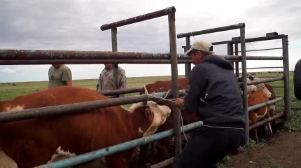 Кәсіпкерлер 1 наурызға дейін мемлекеттік кірістер комитетіне хабарлама жіберуі қажет