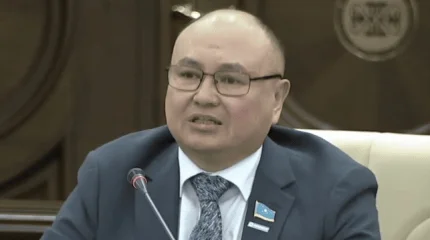 «Вместо улицы – алгоритмы!»: депутаты Казахстана настаивают на запрете соцсетей для подростков