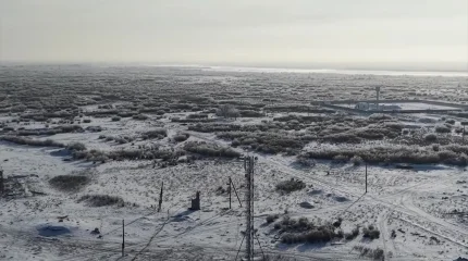 Алматы облысында орман өрті 14 есеге азайды