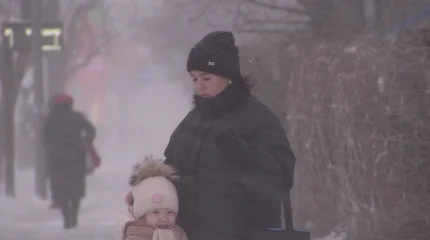 Жамбыл облысында малшы жоғалып кетті