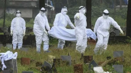 Үндістанда Нипах вирусы өршіді