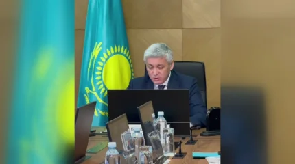 По делу Серика Сапиева и Даурена Есемханова проведут служебное расследование