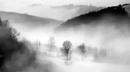 Бүгін қар мен жаңбыр жауады