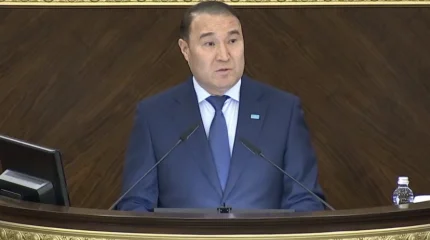 Казахстан ратифицирует соглашение о совместной гражданской защите в рамках ОТГ