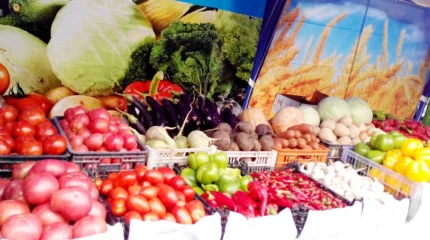 Астанада демалыс күндері ауыл шаруашылығы жәрмеңкесі өтеді