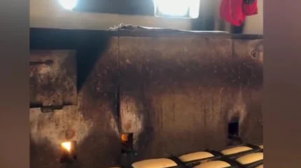 Атырауда адам шошырлық антисанитарлық жағдайда жұмыс істеген наубайхана анықталды