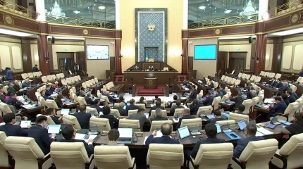 Депутаттар осал топтағы азаматтарға сатылатын пәтер үлесін қысқартуды ұсынды