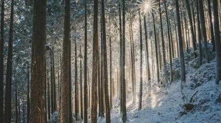 Антициклон и рост температур: погода в Казахстане до конца недели