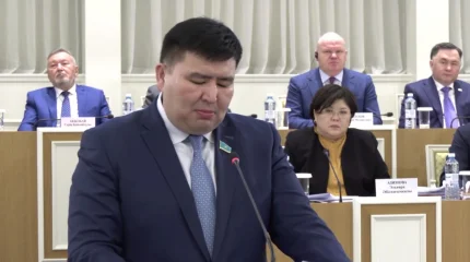 Народный совет - мост между государством и обществом, а не второй Парламент - Елнур Бейсенбаев