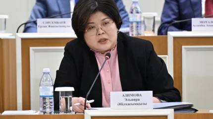 Жаңа Конституцияда 95 бап болады — Эльвира Әзімова