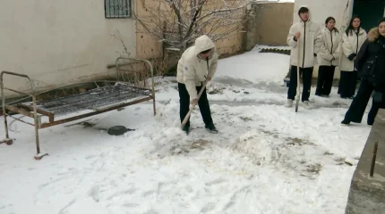 Қызылордалық ерікті жастар ардагерге қолғабыс жасады