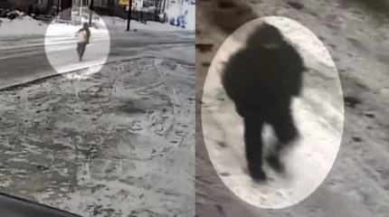 После новогодних каникул карагандинская семья обнаружила пропажу сейфа из своей квартиры