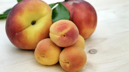 ЕЭК обнуляет пошлины на сахар, медь, текстиль и фрукты для Казахстана