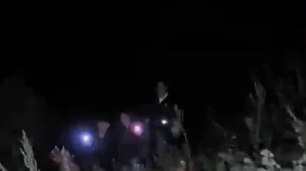 С Волчьего пика вывели девять заблудившихся туристов