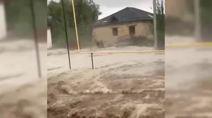Несколько сел оказались под водой после сильного ливня в Туркестанской области