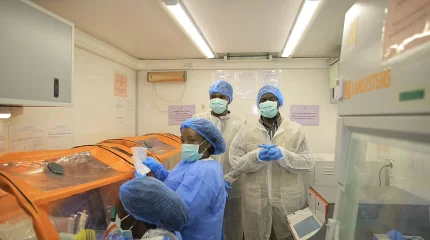 Число умерших от Эболы достигло 4000 человек
