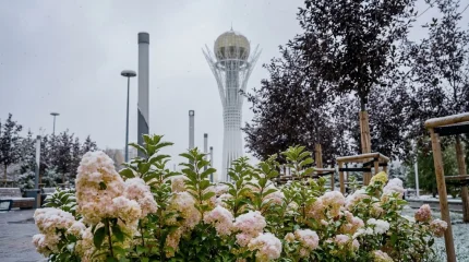 В Астане снег с дождем, в Шымкенте туман: погода во вторник, 6 октября