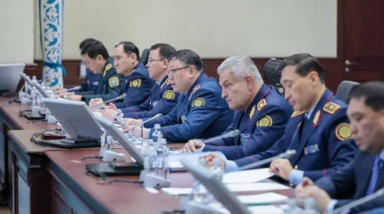 Тұрмыстық зорлық-зомбылық жасаған 25 мың адам қамалды - ІІМ