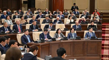 При Курултае создадут Совет по взаимодействию с маслихатами