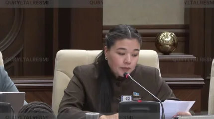 Русана Сулаймонова: Медициналық ақпараттық жүйеде кемшіліктер көп