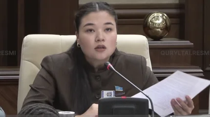Депутаты Курултая призвали Минздрав избавиться от «цифровой бюрократии»