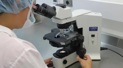 Шетелден әкелінген өнімдерден қауіпті зиянкес анықталды