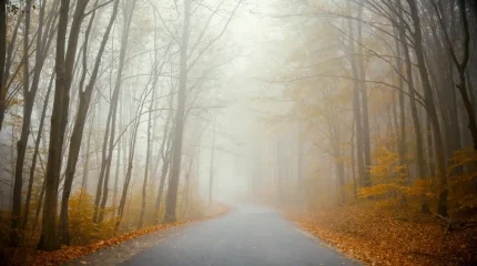 Таулы аймақтарда тұман түсіп, кей жерлерде нөсер жауын болуы мүмкін