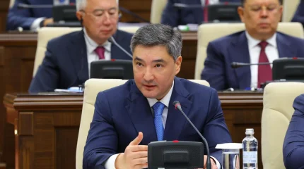 «Байлар мемлекеттік көмекке иек артпау керек» - Олжас Бектенов