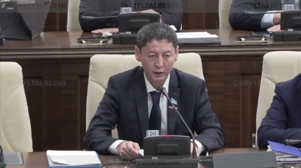 Ұлттық қор бюджет тапшылығын жабудың тұрақты көзіне айналмауы керек