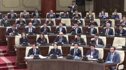 Депутаты Курултая одобрили трехлетний бюджет Казахстана