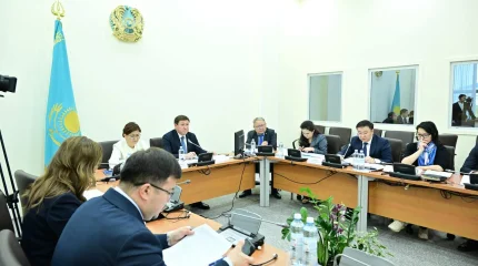 Құрылтай көші-қон заңнамасын жетілдіру жұмысына кірісті
