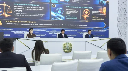 Қазақстанда Smart Turmys цифрлық платформасы енгізілуде