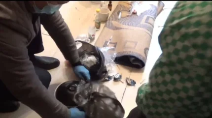 Изъяты мак и шприцы: нарколабораторию обнаружили в обычной многоэтажке в Актобе