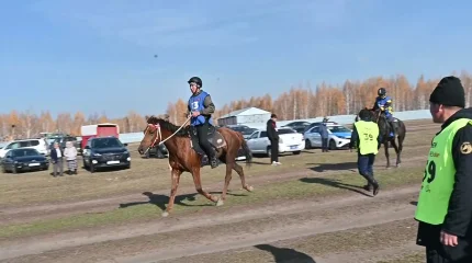 36 всадников из 5 стран соревновались на международном конном турнире в Костанайской области