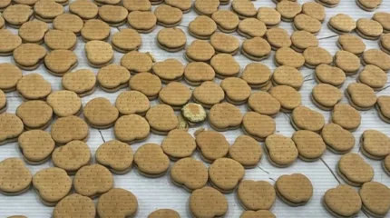 Банду c наркопеченьем задержали в Астане