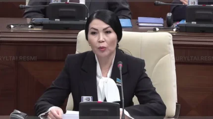 Педагог-ассистенттердің жалақысы мен жұмыс уақыты қайта қаралуы мүмкін