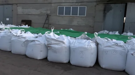 В Казахстане пресекли незаконный вывоз золотосодержащей руды на 1,5 млрд тенге