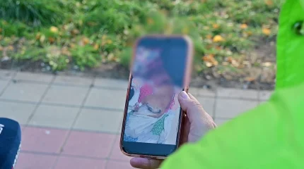 «Колотые, резаные раны»: гибель собаки в одной из квартир Костаная расследуют полицейские