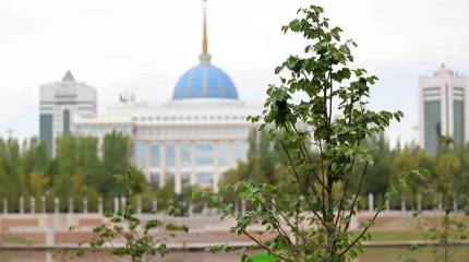 Строительный бум предрек Казахстану Касым-Жомарт Токаев