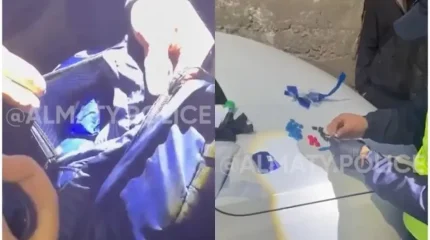 Алматыда ірі көлемде есірткі тасыған курьер ұсталды
