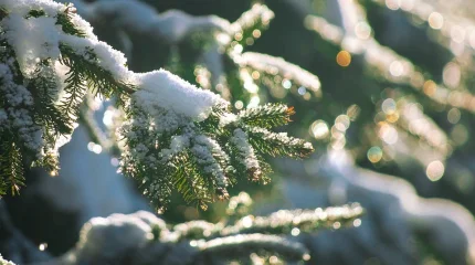 Оңтүстікте+17 градус, солтүскте -28 градус болады