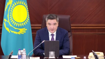 Жаңа Конституция жобасы туралы жалған ақпарат таратқандар қатаң жазаланады