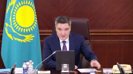 "Проект новой Конституции – это ⁠прогрессивный документ" - премьер-министр РК