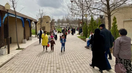 Өзбекстанда туу көрсеткіші төмендеді