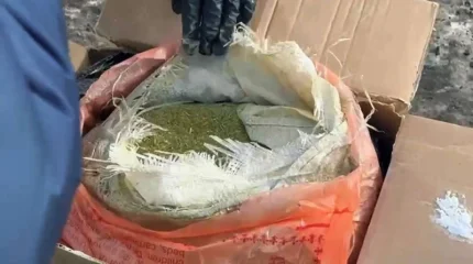 Тәжікстанда 5 тоннадан астам есірткі тәркіленді